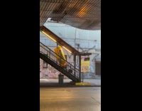 Person carries cardboard Christmas tree on stairs