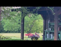 Black hat girl white dog red tractor 