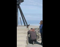 Pet dog puppy photo shoot world statue