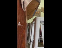 Dachshund dog looks like dobby from harry potter 