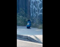 Cat sitting on sidewalk wearing blue hoodie 