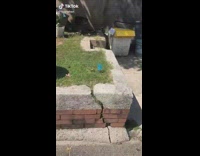 Collab BitchIG2 - Girl stops car meeting Sza scissor