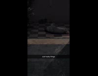 Husky rolling on the porch floor 