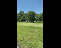 broken mangled bloody dear leg road