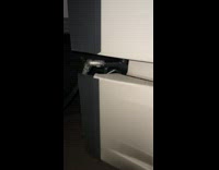 Truck driver has gas pump hanging from truck