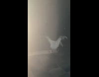 Woman fell and hits head on seesaw