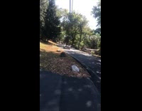 Guys drive on couch car on street 