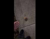 Man complaining about hazardous potato on sidewalk