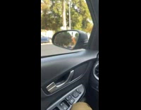 Girl in car panics when she sees flags 