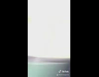 Toll worker spongebob picture grunt 