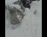 Guy on red board slides into tree 