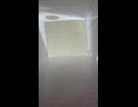 Brown white cat reaches in box treat