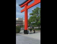 Guy photo shoot japanese temple red arch