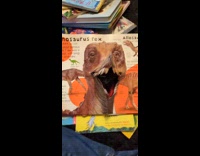 Man laughs at pop up dinosaur book