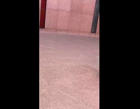 Women wait for photo near YSL logo