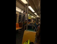 Parrot and cockatoo on trailer rides train