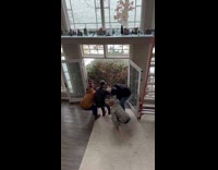 Submitter gets real giant Christmas tree decoration