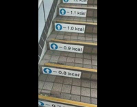 Stairs each step has calorie kcal count 