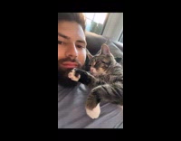 Cat cuddling with guy touches his face with paws 