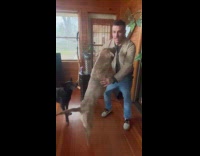 Dog jumps to man while listening music