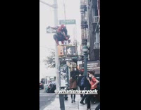 Spiderman costume guy poses pedestrian crossing light