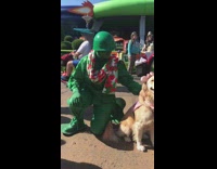 Green army toy men pet golden retriever service dog with Minnie ears at Disney World