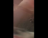 Lady and cat play fetch spring toy 