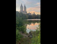 Racoons roaming around near central park lake 