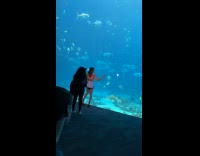 Woman short dress makes video beside aquarium