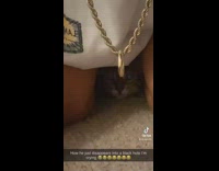 Cat between girls legs crawls away into hole 