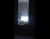 Coffin seen through window of living room