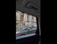 Collab WINY - Two cars with pigeons on its roof