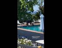 Collab BitchMP - Bears swimming in backyard pool 