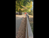 Collab IITW - Woman dress poses and leans on fence