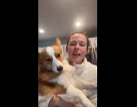 Dog had eaten brothers anxiety pill 