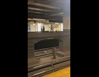 Person with a top hat and grey mask waits for train