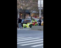 Grinch rides Autocycle Grinch themed on street