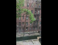 Girl throws paper airplane note dogs bark 