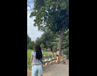 Squirrel climbs up tree after stealing pizza part 2