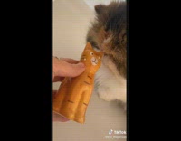 Collab BitchIG2 - Girl buys cat shaped salt and pepper shakers
