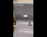 Warning poop stick on blue subway seat in front of skid smear marks