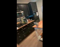 Clips mpugc - Woman becomes bridge for cat