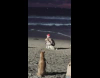 Large shirtless man poses with two dogs on the beach