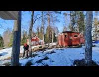 Man cut tree fall over shed fails