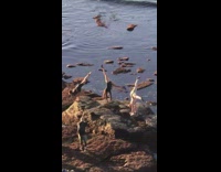 Three at once handstand on rock beach