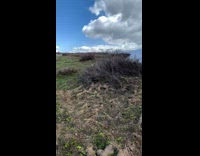 Guy tries to ride dirt bike over snow fail 