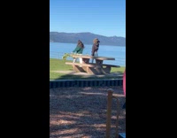 Man and Woman hoodie tiktok at park