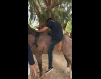 guy blue shirt falls off horse