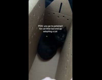 Woman ends up adopting from petsmart