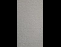 Large spider on wall inside house 